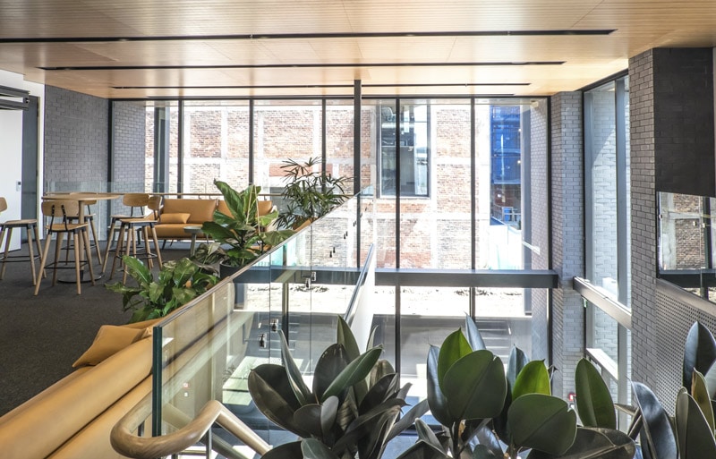modern-office-with-plants