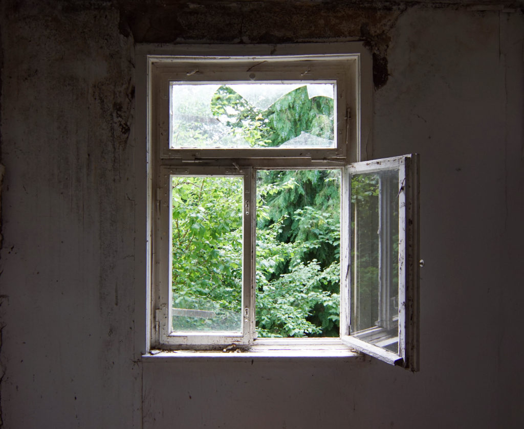 Open window with view of foliage